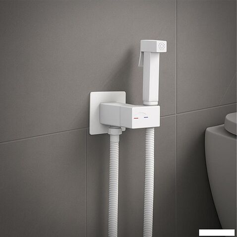 Гигиенический душ Lauter Rainix 21LT7713MW