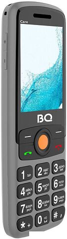 Кнопочный телефон BQ 2459 Care (серый)