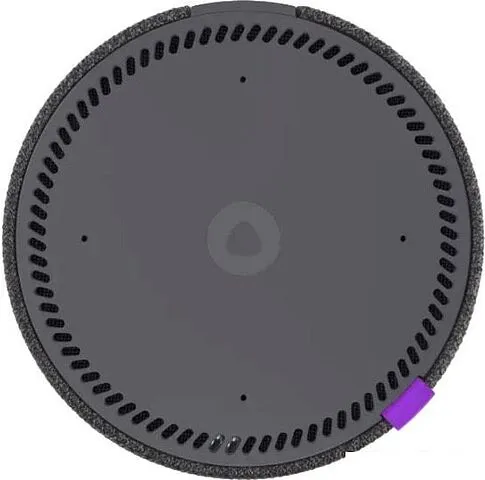 Беспроводная аудиосистема Яндекс Станция Мини (черный)