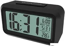 Радиочасы Ritmix CAT-100 (черный)