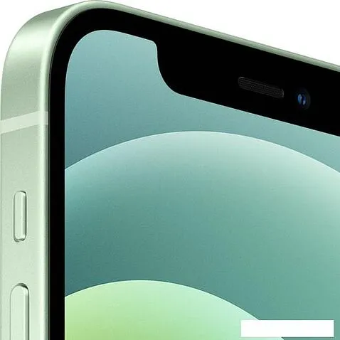 Смартфон Apple iPhone 12 256GB (зеленый)