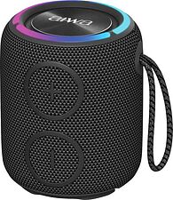 Беспроводная колонка Aiwa PAS-H100 (черный)