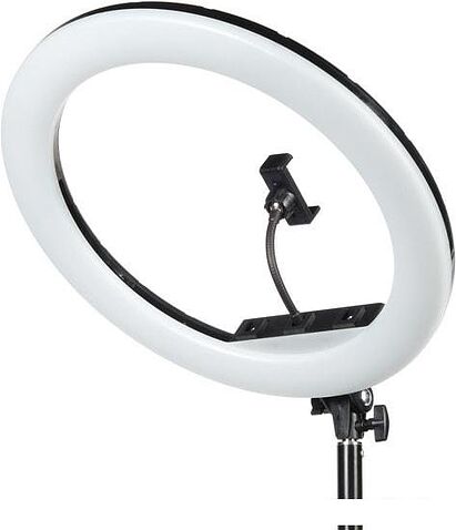 Кольцевая лампа Falcon Eyes BeautyLight 480RC LED