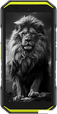 Телефон Ulefone Armor X32 Pro 8GB/256GB (черный/зеленый)