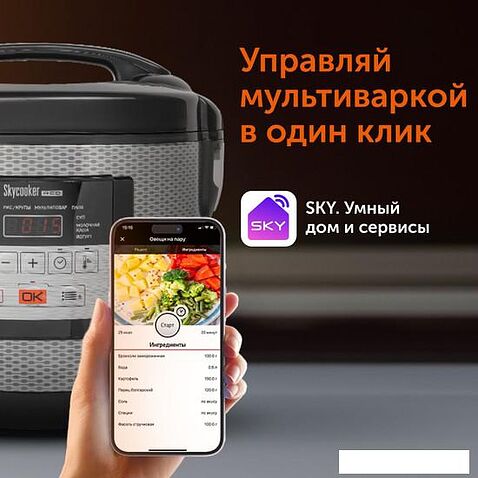 Мультиварка RED Solution SkyCooker RMC-M224S