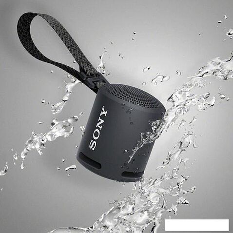 Беспроводная колонка Sony SRS-XB13 (черный)