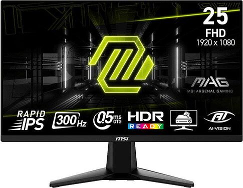 Игровой монитор MSI MAG 255XF