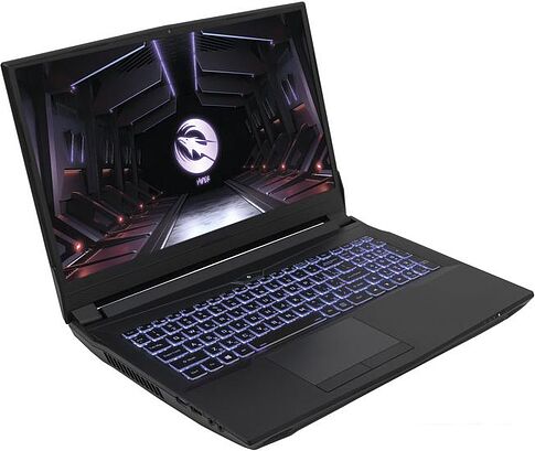 Игровой ноутбук Hiper Gaming G16 G16RTX3070A11700W11