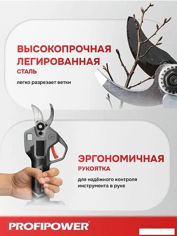 Секатор Profipower PC-20B (с 1-им АКБ, кейс)