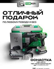 Дрель-шуруповерт Torker MA20-3 (с 2-мя АКБ, кейс, оснастка)