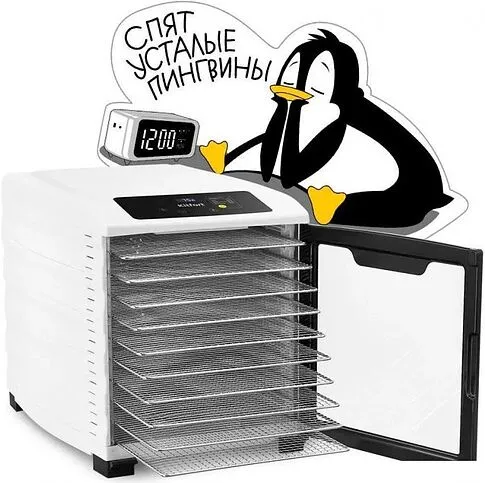 Сушилка для овощей и фруктов Kitfort KT-1975