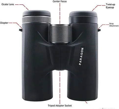 Бинокль Vector Optics Paragon 8x42 SCBO-03
