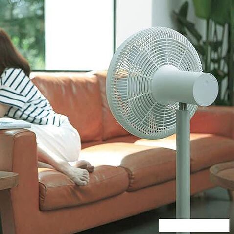 Вентилятор SmartMi Standing Fan 3 ZLBPLDS05ZM (китайская версия)