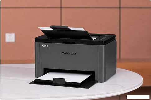 Принтер Pantum BP2302W