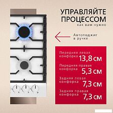 Варочная панель Hansa BHGW611839