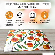 Сушилка для овощей и фруктов БРТЗ Хозяюшка СЭБ-1-0 23с473