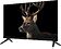 Телевизор Topdevice 24" YaOS TDWC24BH3260V
