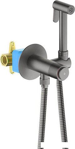 Гигиенический душ Aquatek Бетта AQ1023BGM