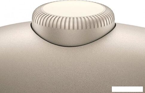 Наушники Apple AirPods Max (с разъёмом USB Type-C, звездный свет)