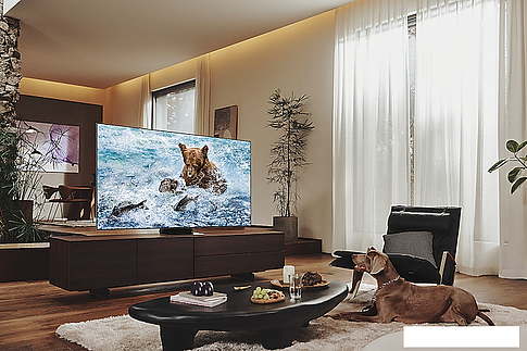 Телевизор Samsung QE55QN700BUXRU