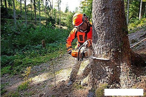 Бензопила STIHL MS 362