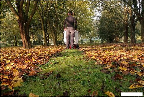 Колесная воздуходувка Weibang WBLV506H V