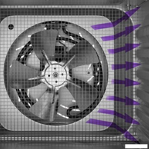Сушилка для овощей и фруктов Kitfort KT-4941