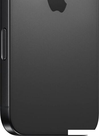 Смартфон Apple iPhone 16 Pro Max 256GB (черный титан)