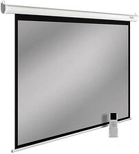 Проекционный экран CACTUS SIlverMotoExpert 138x220 CS-PSSME-220X138-WT Проекционный экран CACTUS SIlverMotoExpert 138x220 CS-PSSME-220X138-WT