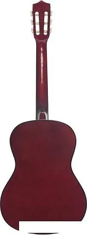 Акустическая гитара Terris TC-3801A NA