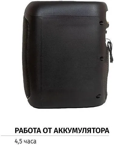 Беспроводная колонка Aiwa CAS-200