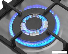 Варочная панель Hansa BHGI631301