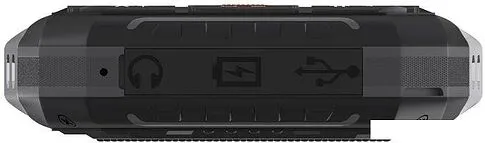 Кнопочный телефон Maxvi T101 (черный)