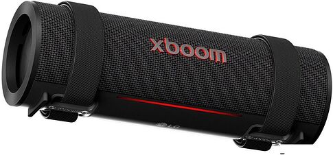 Беспроводная колонка LG XBOOM Grab
