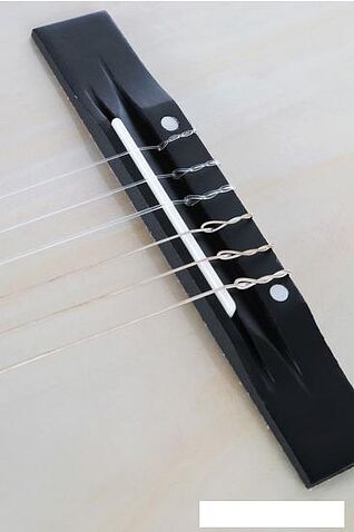 Акустическая гитара DENN DCG390