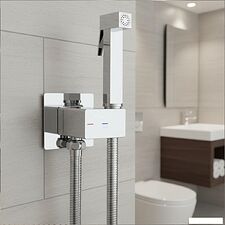 Гигиенический душ Lauter Rainix 21LT7711CH