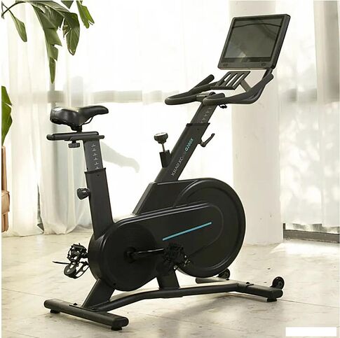 Велотренажер DFC Ovicx B-Q200X