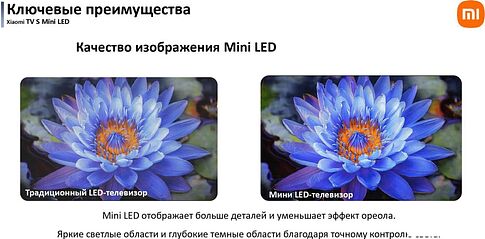MiniLED телевизор Xiaomi TV S Mini LED 55" 2025 (международная версия)