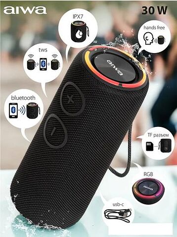 Беспроводная колонка Aiwa PAS-H300 (черный)