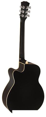 Акустическая гитара Elitaro E4020 BK