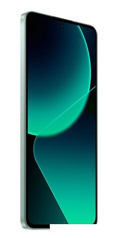 Смартфон Xiaomi 13T Pro 12GB/512GB международная версия (зеленый луг)