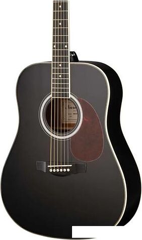 Акустическая гитара Naranda DG220BK