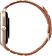 Умные часы Amazfit GTS 4 (золотистый, с коричневым нейлоновым ремешком)