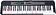 Синтезатор Casio LK-S250