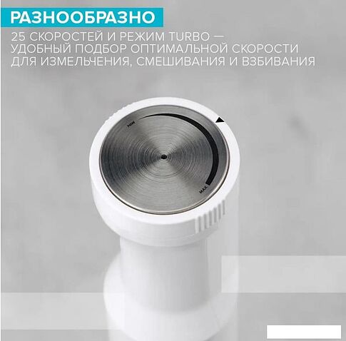 Погружной блендер Scarlett SC-HB42F09