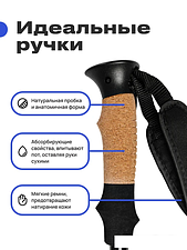 Палки для скандинавской ходьбы RoadLike 335121 (черничный) Палки для скандинавской ходьбы RoadLike 335121 (черничный)