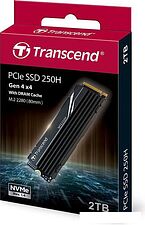 SSD Transcend 250H 2TB TS2TMTE250H