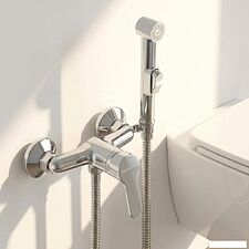 Гигиенический душ Wellerein Silk 21SK80H