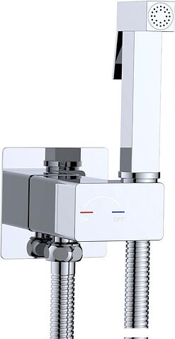 Гигиенический душ Lauter Rainix 21LT7711CH