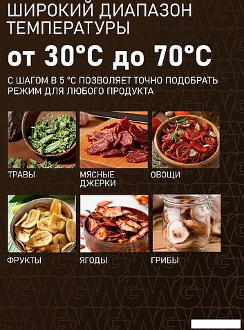 Сушилка для овощей и фруктов Weissgauff WDH 100 Smart Dry